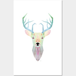 white deer Posters and Art